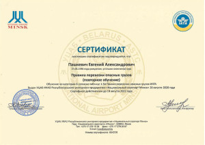 Сертификат Пашкевич Ж ОГ 2020